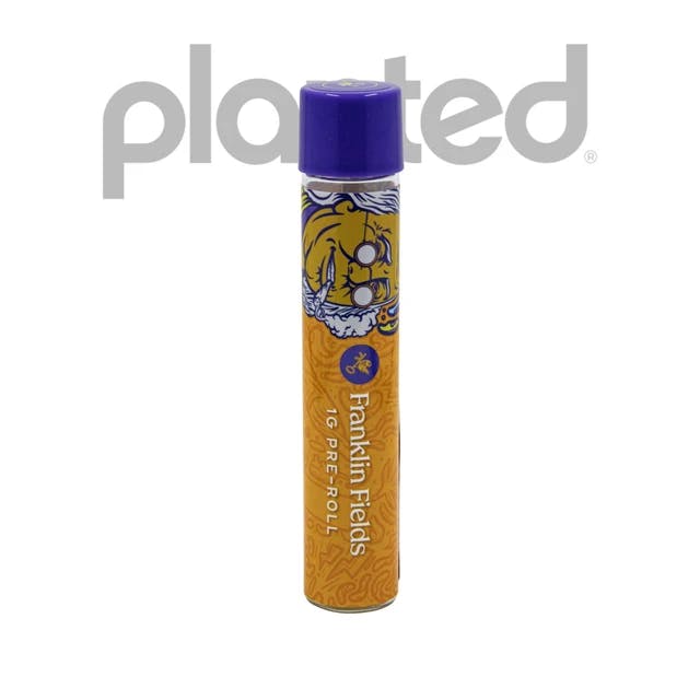 Sugar Cookie Pre-Roll 1G