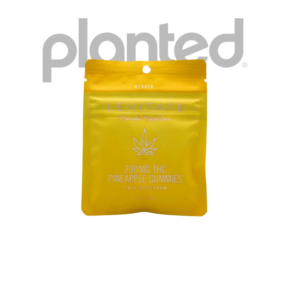 Levitate | Pineapple Gummies | Sativa | 200MG Gummies | REC