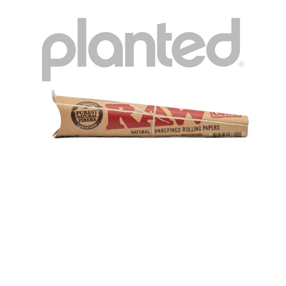 Raw | Pre-Rolled Cones | Classic | 1 1/4 | 6 Per Pack - Main view