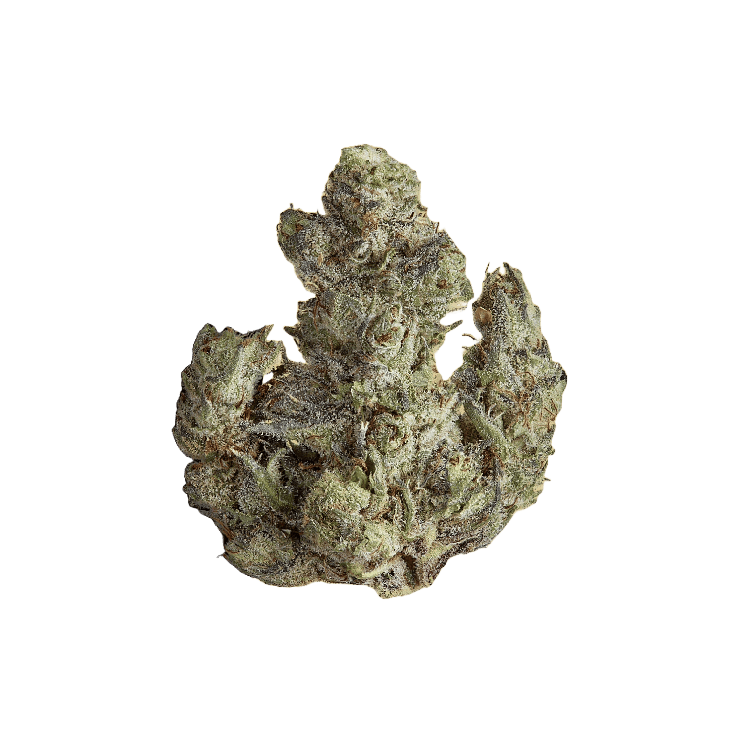 GOLDKINE | ICE CREAM MAN | INDICA | DELI-FLOWER | REC - Main view