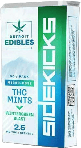 DETROIT EDIBLE CO. | SIDEKICKS WINTERGREEN BLAST | MINTS | 100MG | REC - Main view