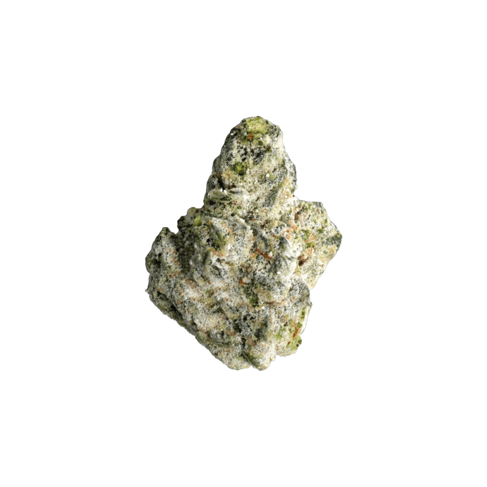 UNITED TERPS OF AMERICA | BERRY GELATO | INDICA | INFUSED DELI-STYLE FLOWER | REC - Main view
