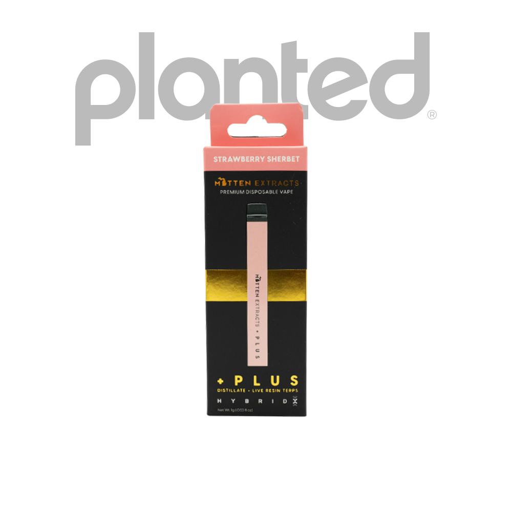 Strawberry Sherbet Disposable 1G - Main view