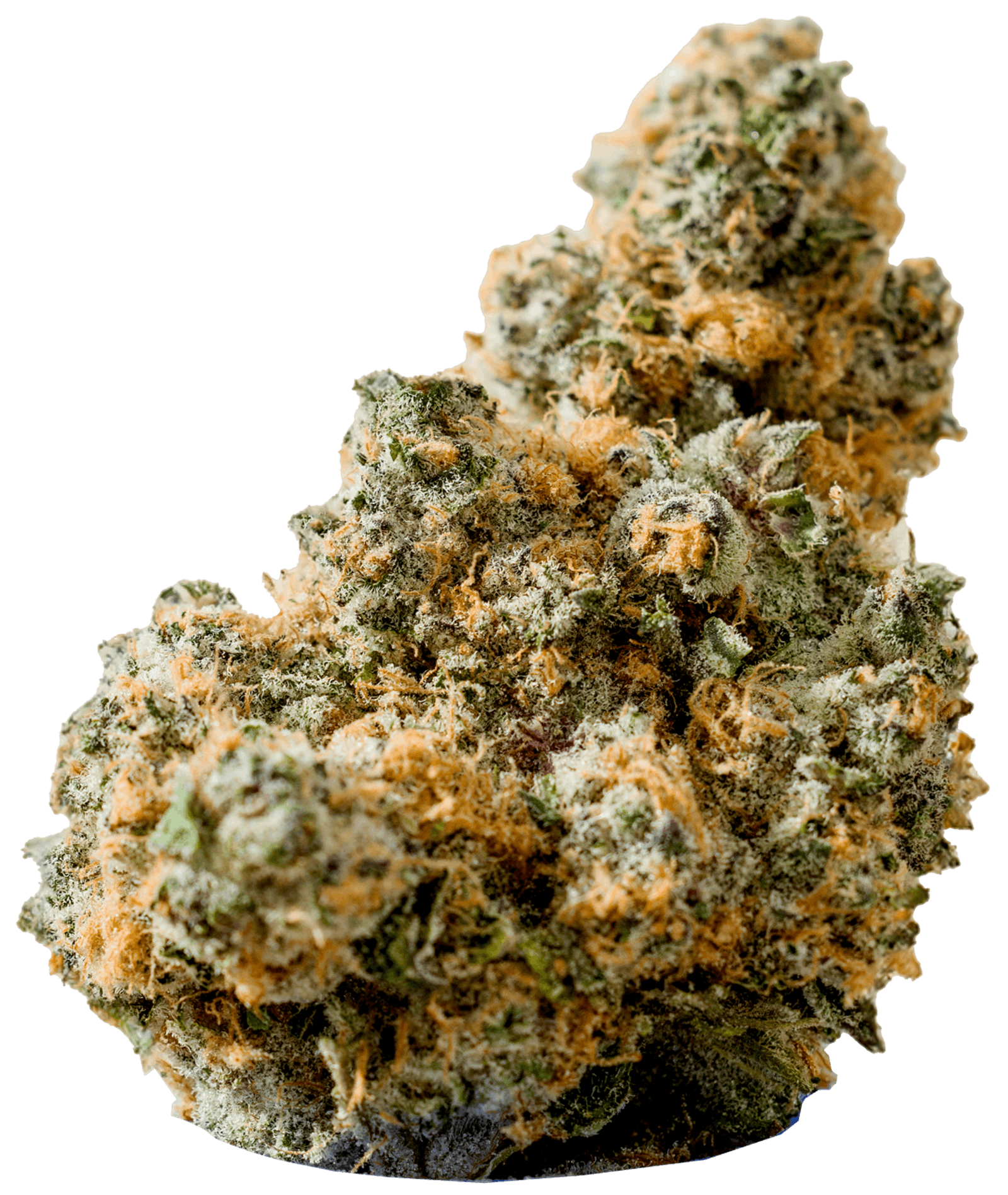 GLACIER CANNABIS  | SUPERBOOF | HYBRID | DELI-STYLE FLOWER | REC - Main view