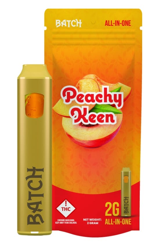 BATCH | PEEACHY KEEN | HYBRID | DISPOSABLE VAPE | 2G | REC - Main view