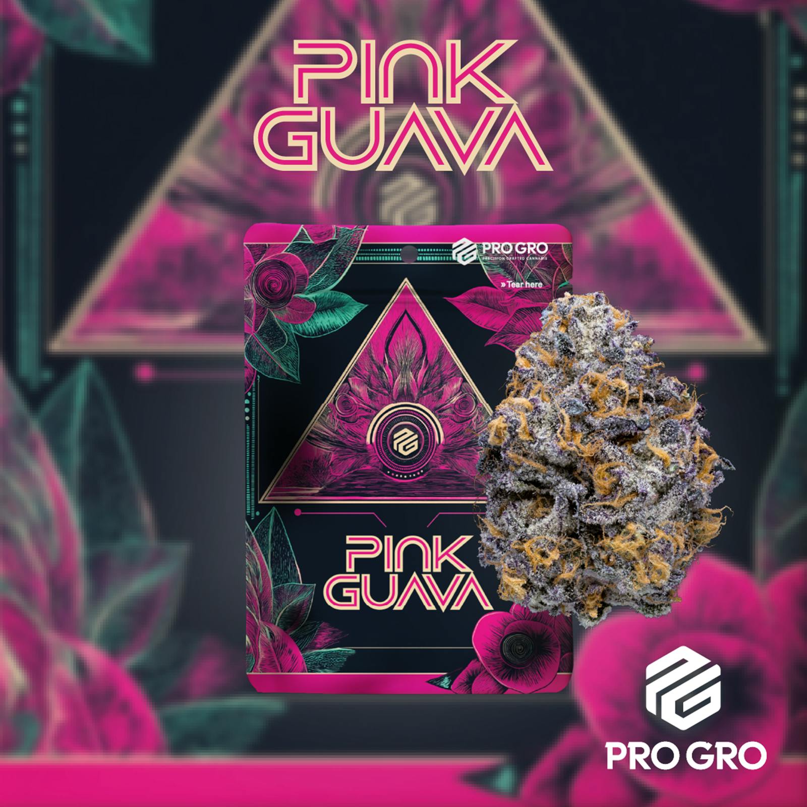 PRO GRO | PINK GUAVA | HYBRID | PRE-PACKED | 3.5G | REC - Main view