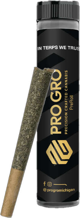 Pink Guava Pre-Roll 1G - Main view