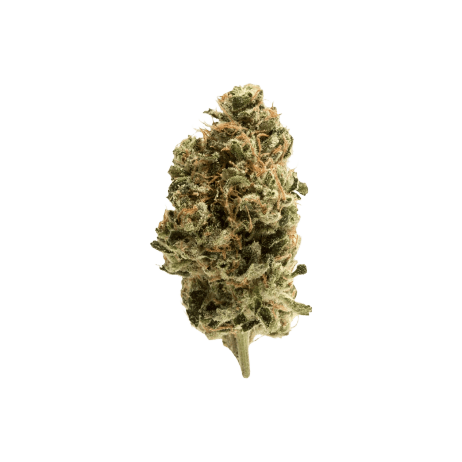 SECRET STASH | DEVIL'S CANDY | HYBRID | DELI-FLOWER | REC - Main view