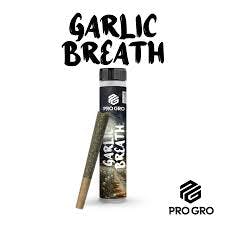 PRO GRO | GARLIC BREATH | INDICA | PRE-ROLL | 1G | REC - Main view