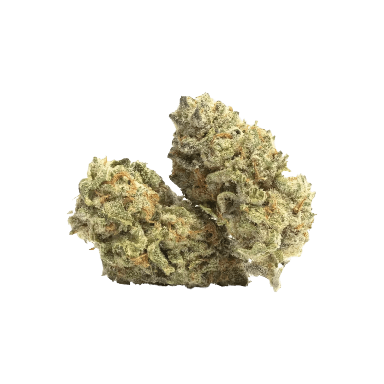 GLACIER | POP ROCKETZ | HYBRID | DELI-STYLE FLOWER | REC - Main view
