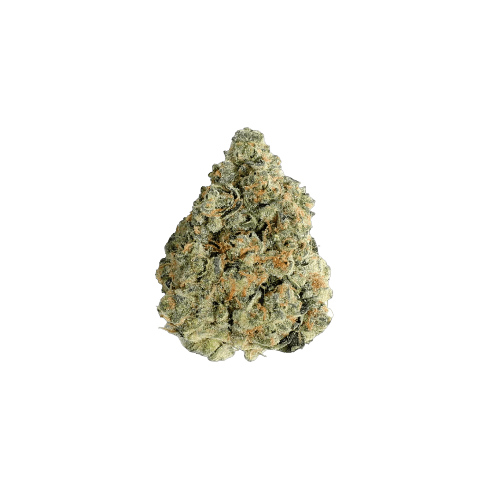 FRANKLIN FIELDS | SUGAR COOKIE | HYBRID | DELI-STYLE | REC - Main view