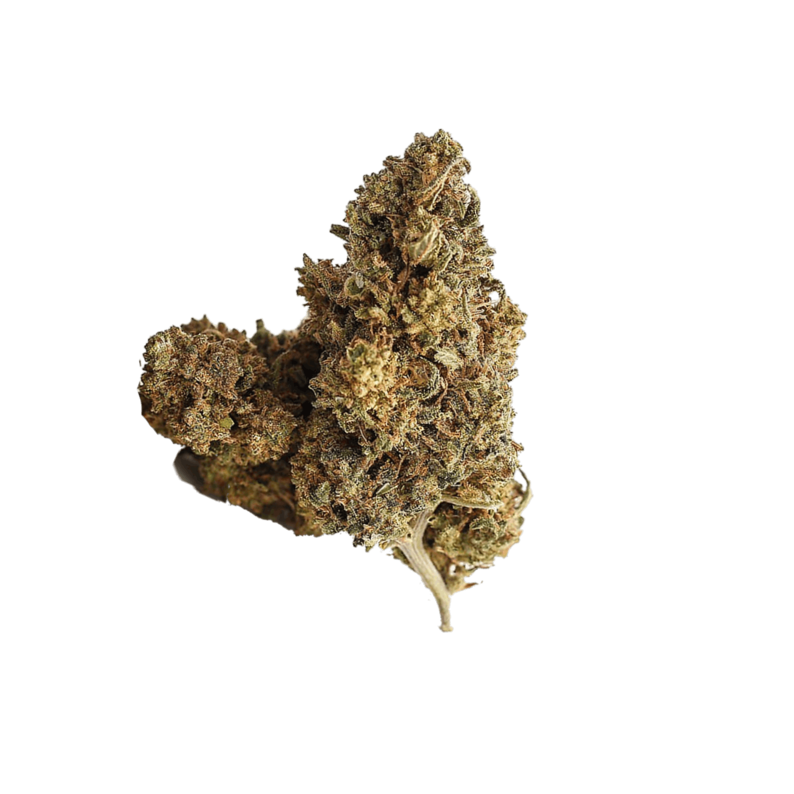 Augustus Gloop Flower - Main view