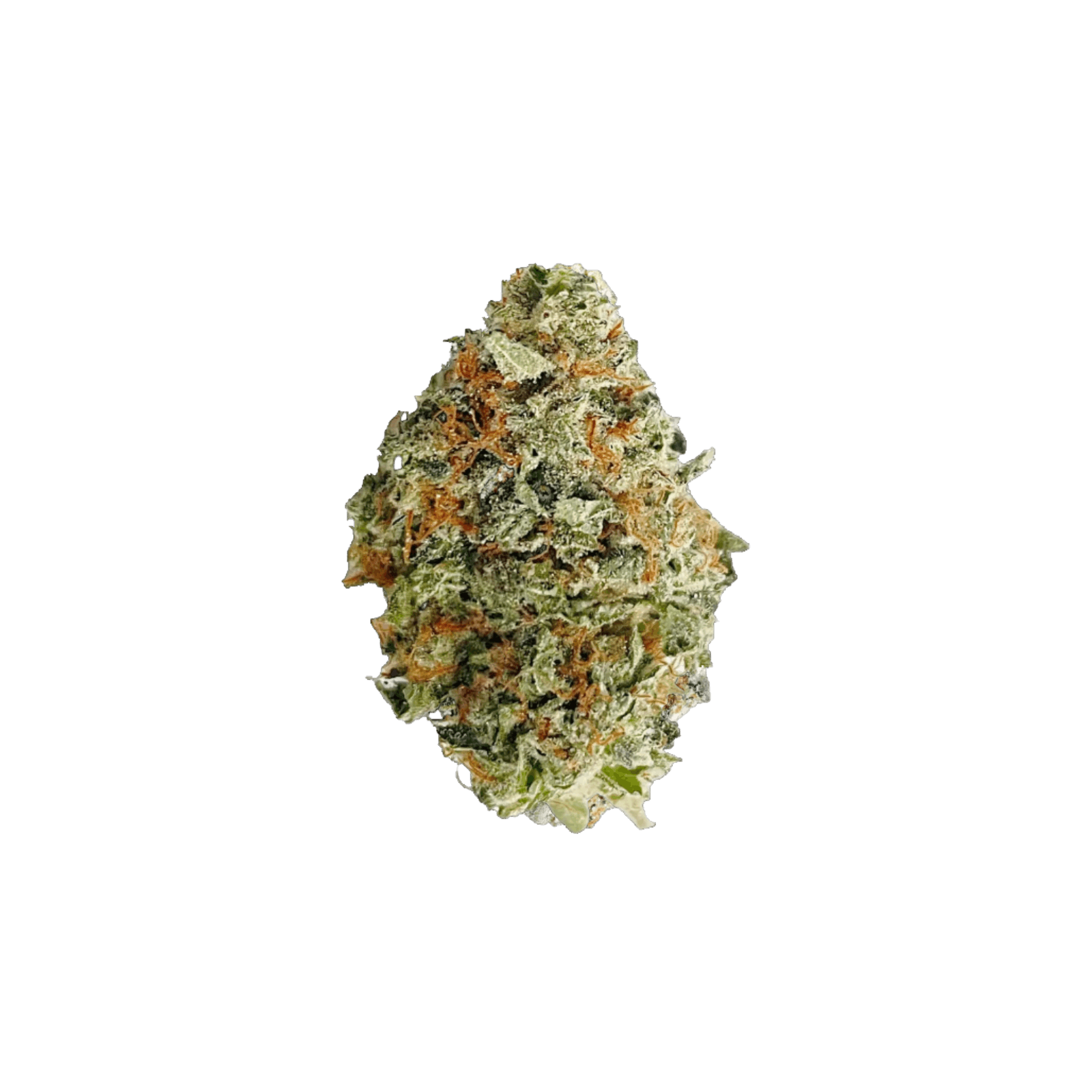 GOLDKINE | MINT CHOCOLATE CHIP | HYBRID | DELI-FLOWER | REC - Main view