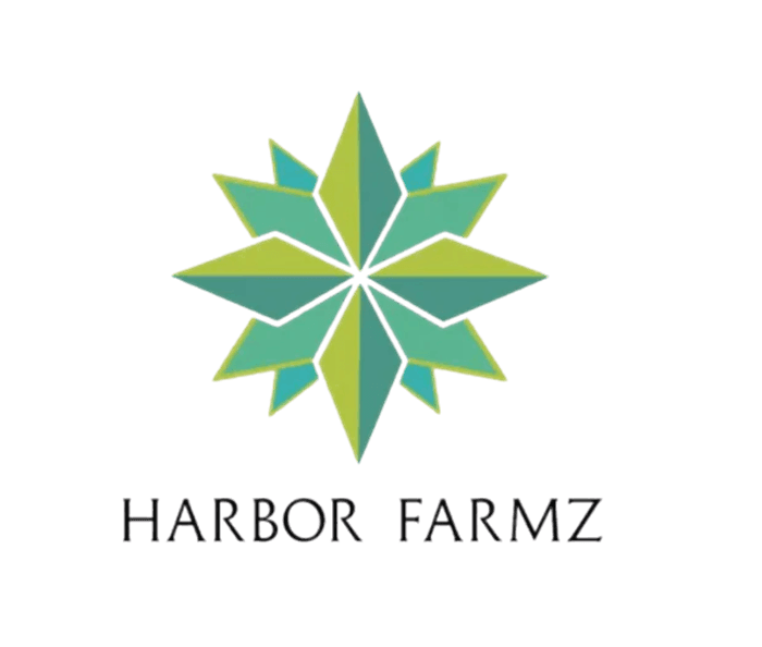 Grease Monkey - Main view