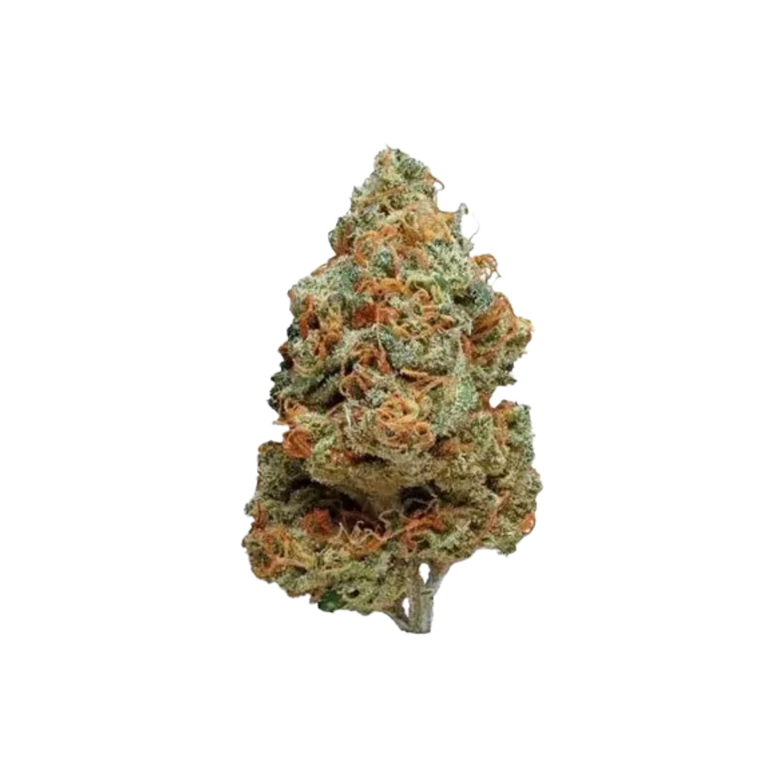 PRIMO DANK | GAK SPLASH | HYBRID | DELI-STYLE FLOWER | REC - Main view