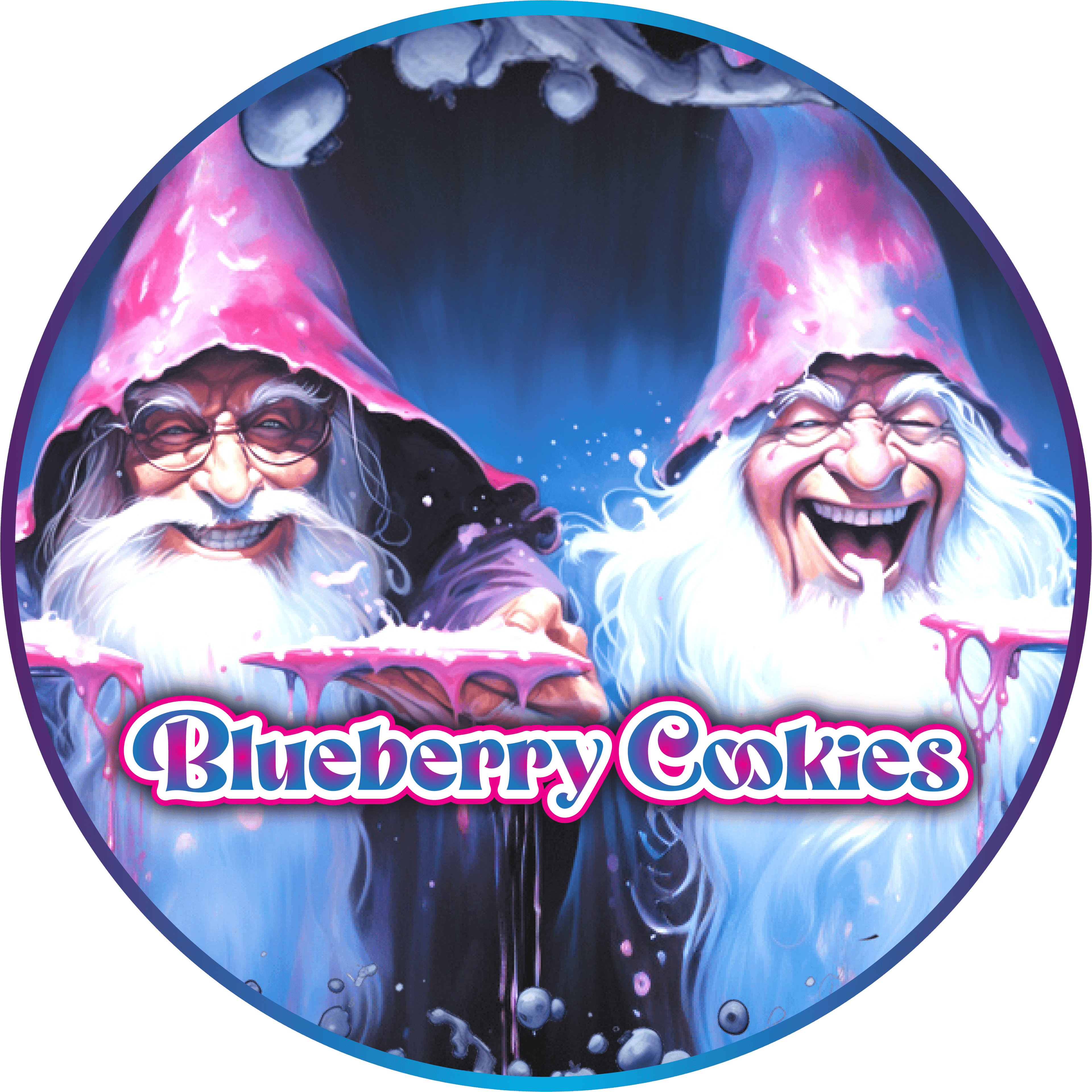 GALENAS | BLUEBERRY COOKIES | HYBRID | INFUSED PRE-ROLL | 1G | REC - Main view