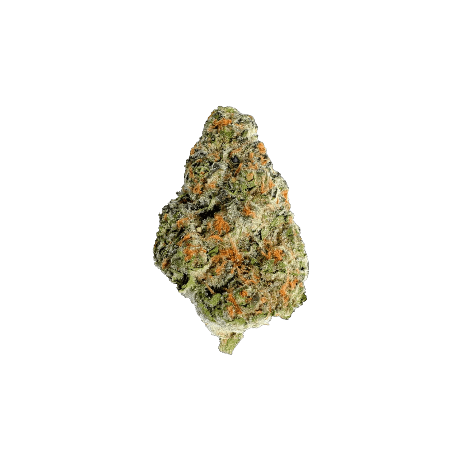NARVONA | TWIZZLERS | HYBRID | DELI-STYLE FLOWER | REC - Main view
