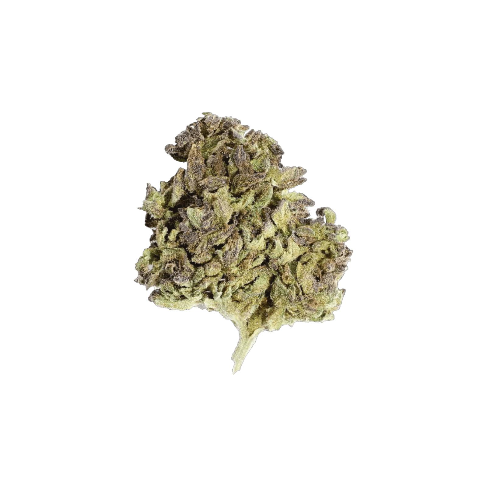 GLACIER | SUPER BOOF | HYBRID | DELI-FLOWER | REC - Main view