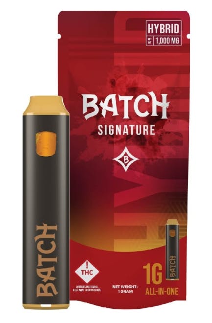BATCH | RUNTZ | HYBRID | DISPOSABLE VAPE | 2G | REC - Main view