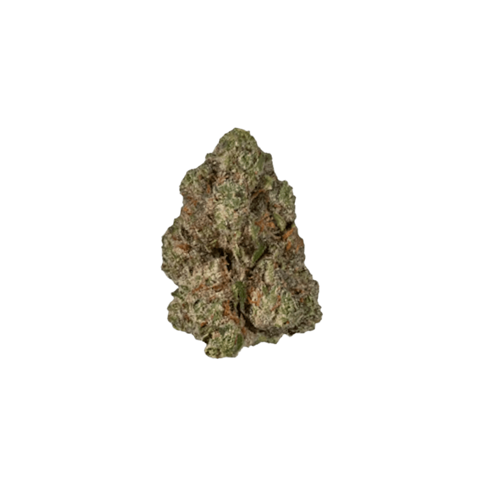 GLORIOUS | SPACE WALKER | HYBRID | DELI-STYLE FLOWER | REC - Main view