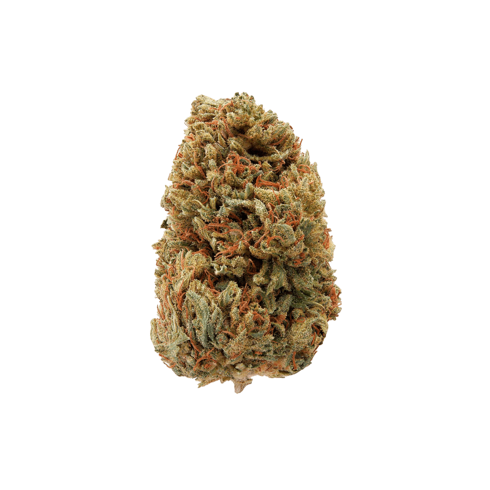 Gelonade Flower - Main view