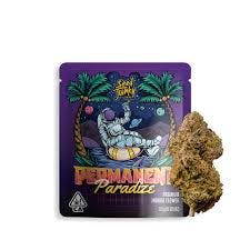 SEED JUNKY | PERMANENT PARADIZE | HYBRID | PRE-PACKAGED | 3.5G | REC - Main view