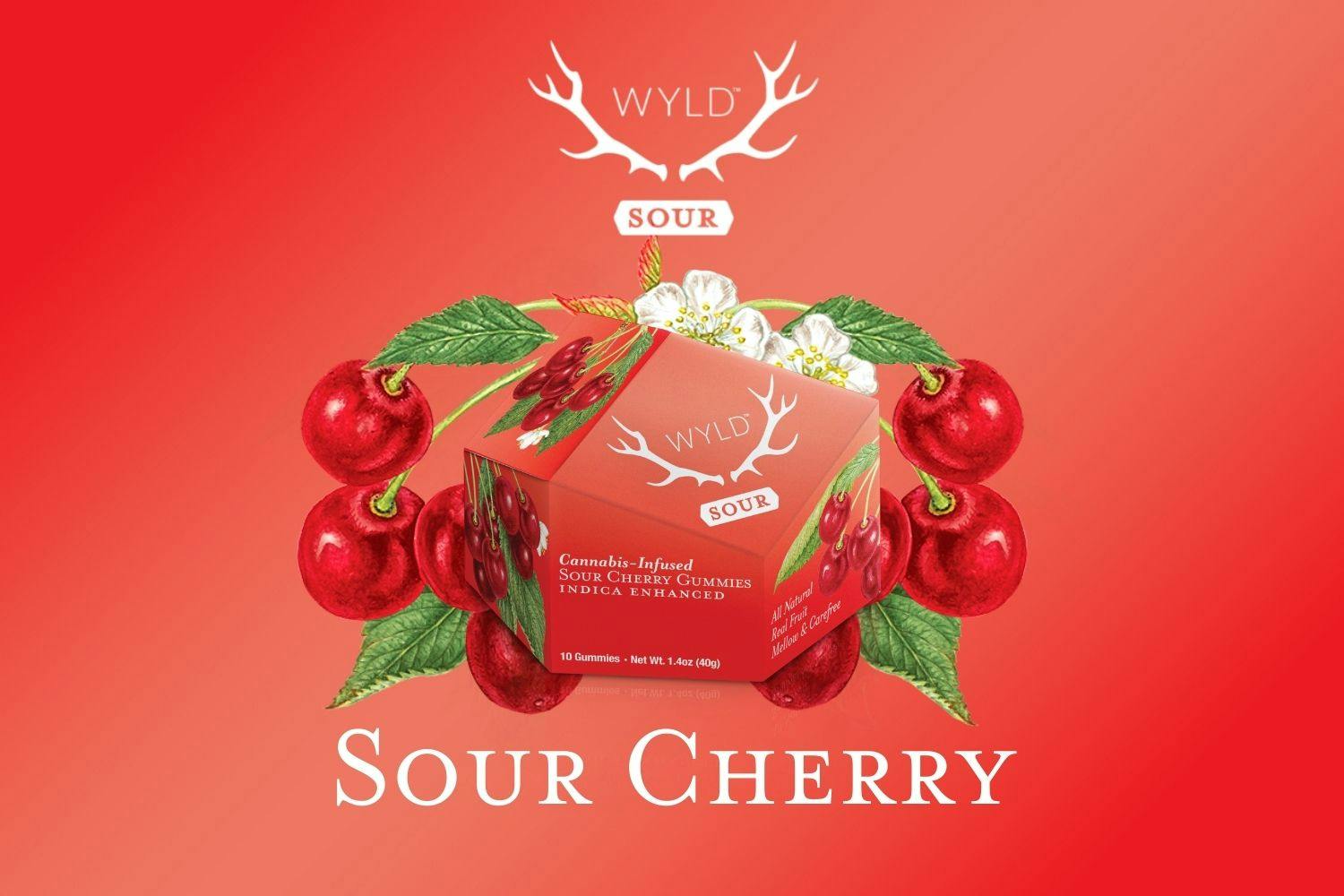 WYLD | SOUR CHERRY | INDICA | GUMMIES | 200MG | REC - Main view