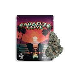 SEED JUNKY | PARADIZE COVE | HYBRID | PRE-PACKAGED | 3.5G | REC - Main view