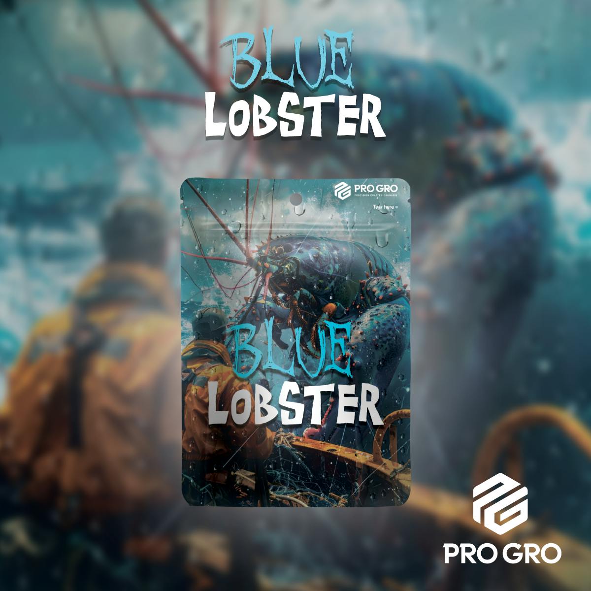 PRO GRO | BLUE LOBSTER | HYBRID | PRE PACKAGED 1/8 | 3.5G | REC - Main view