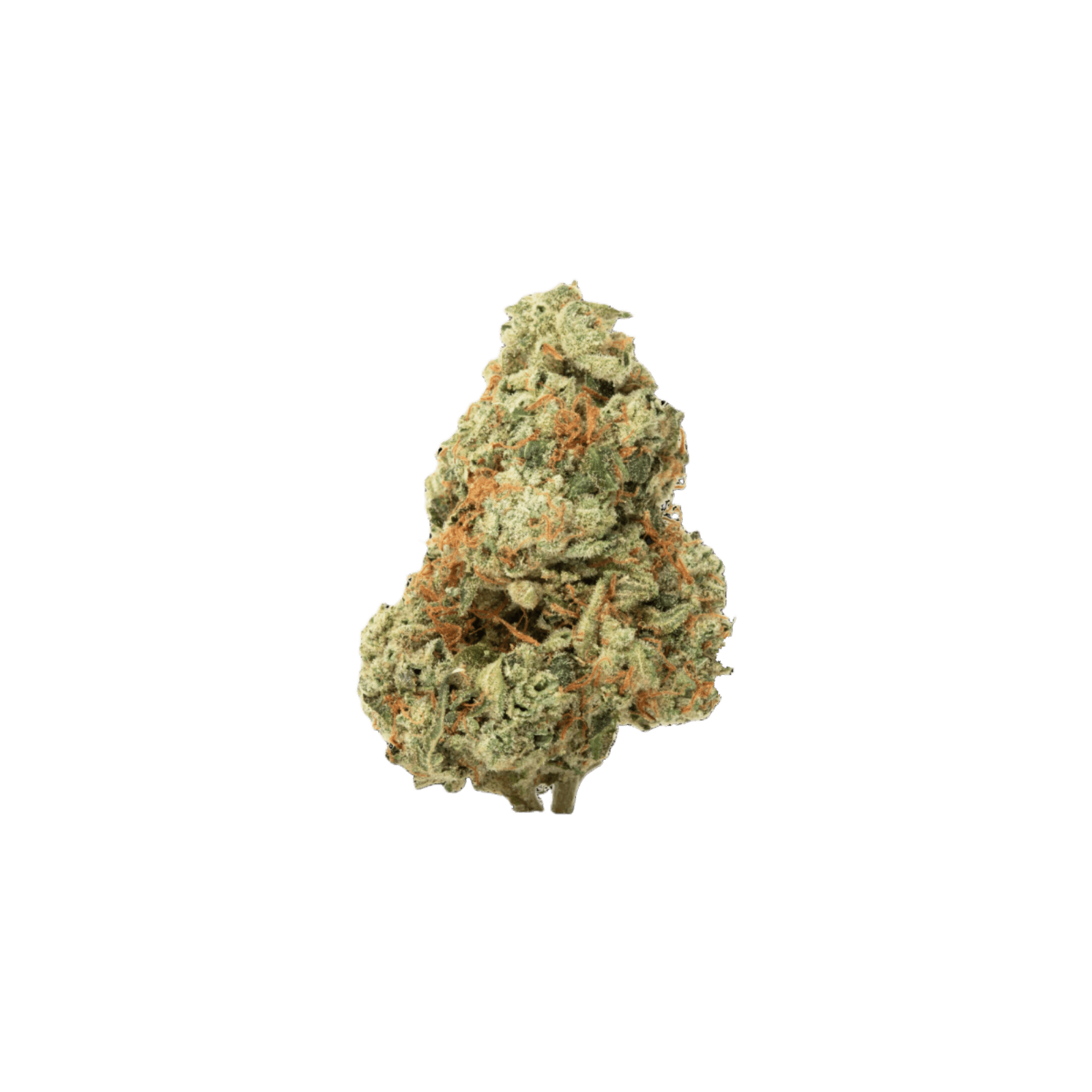CANDELA | GMO CRASHER | HYBRID | DELI-FLOWER | REC - Main view