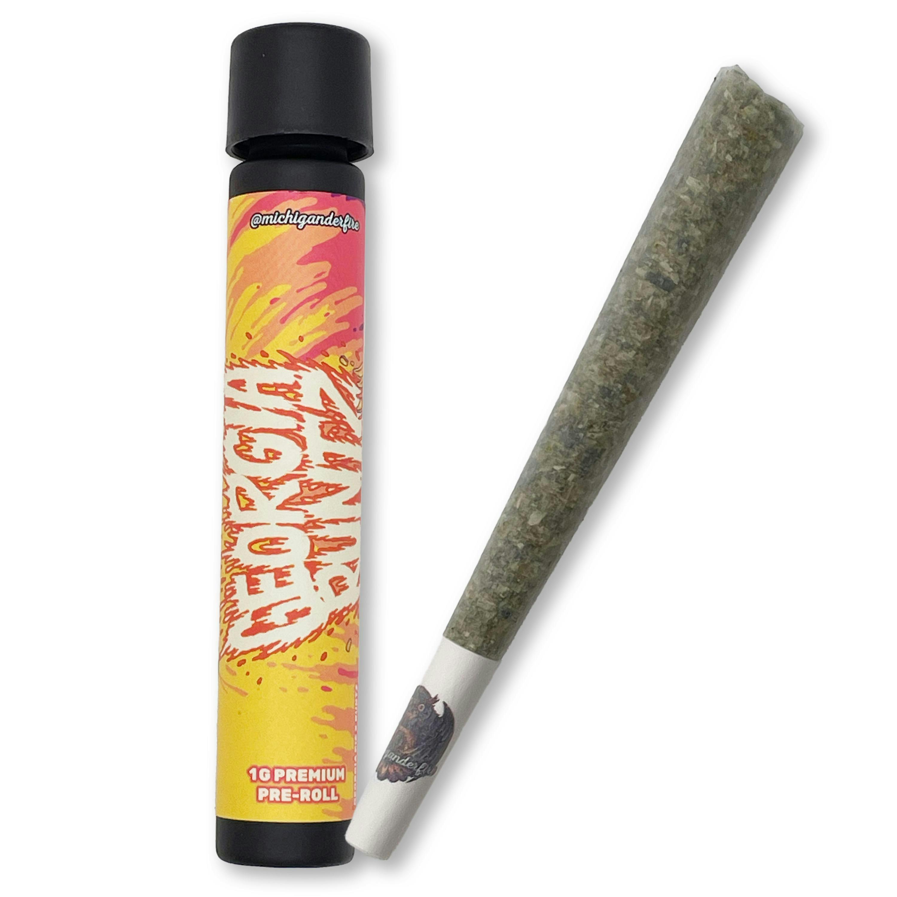 MICHIGANDER FIRE | GEORGIA RUNTZ | HYBRID | PRE-ROLL | 1G | REC - Main view