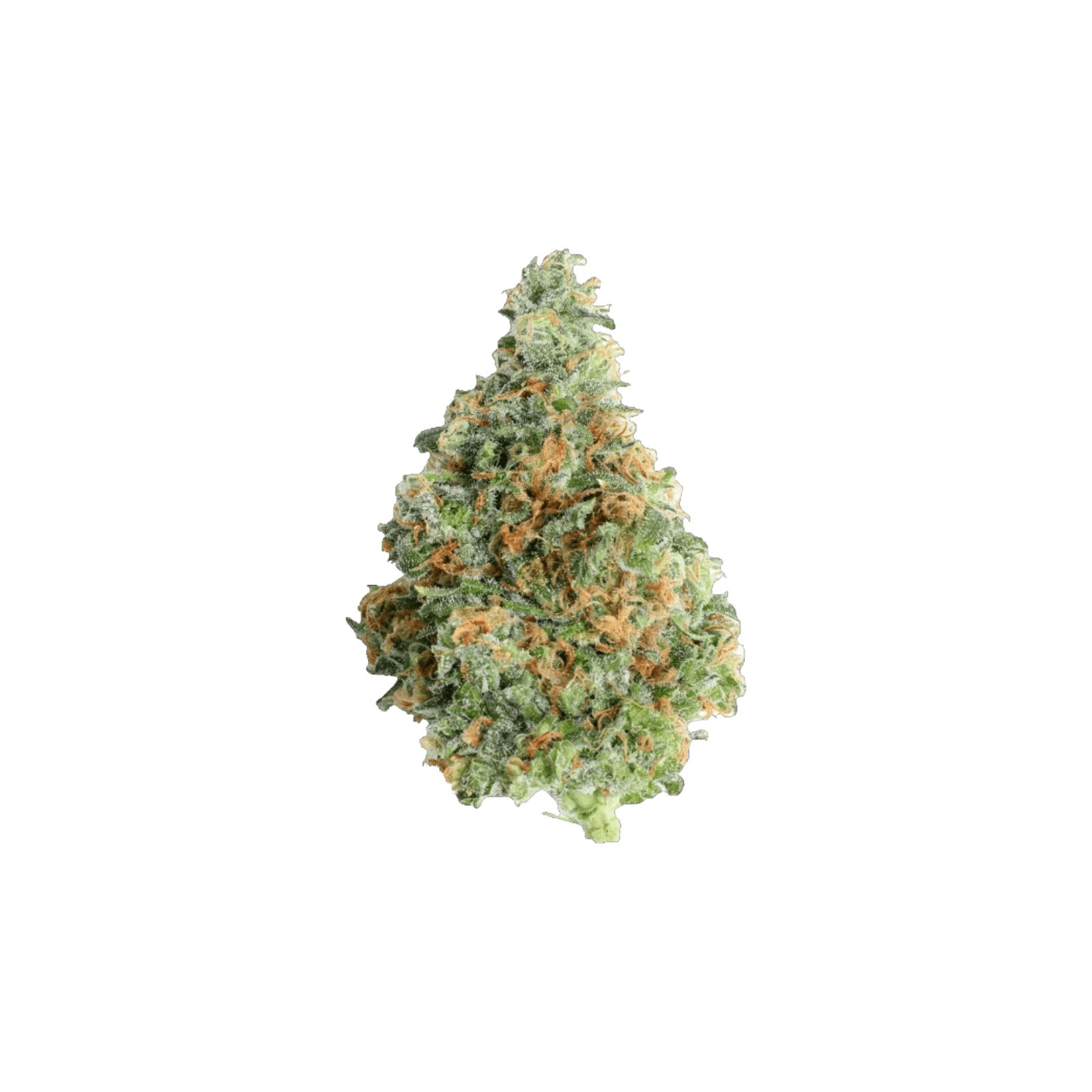 GOLDKINE | HASH BURGER | INDICA | DELI-STYLE FLOWER | REC - Main view