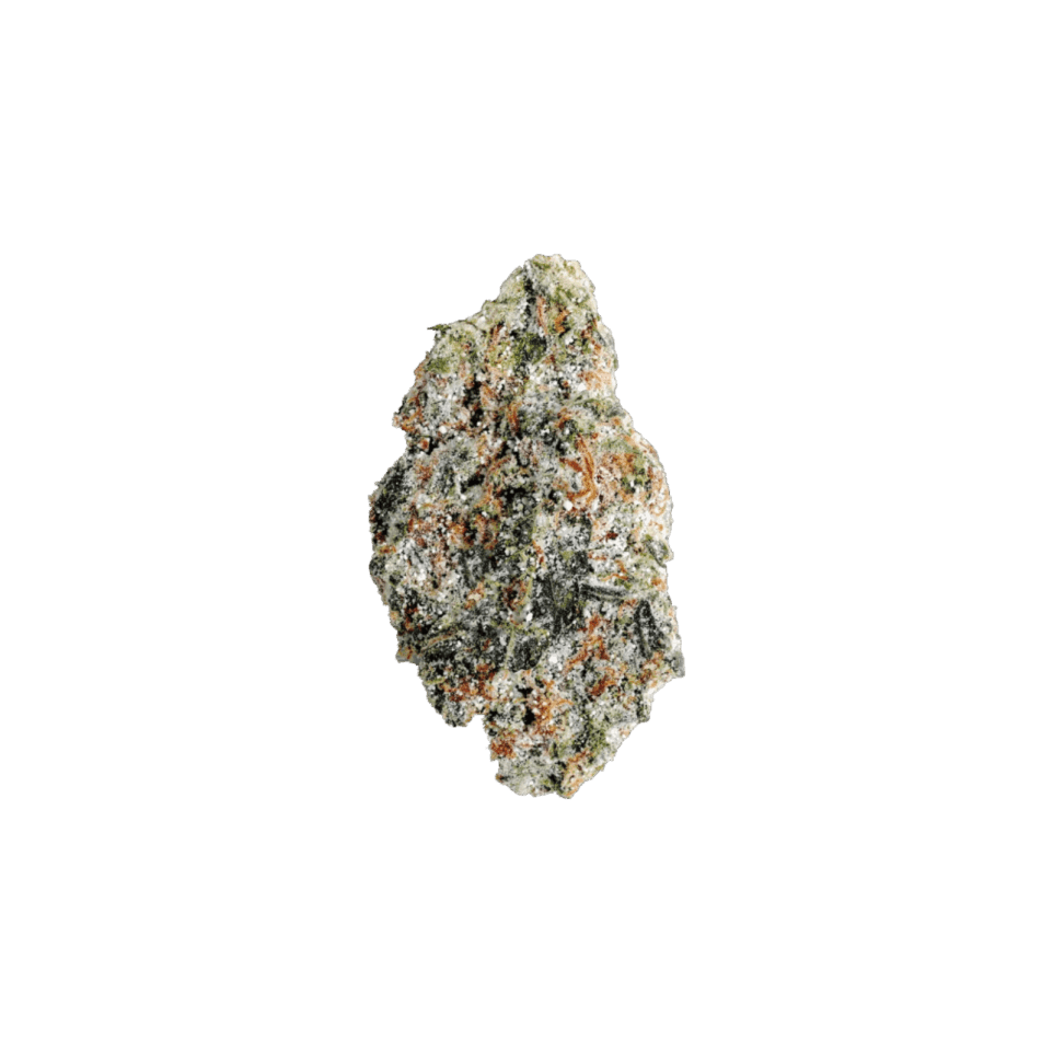 UNITED TERPS OF AMERICA | PERMANENT GAS | INDICA | INFUSED DELI-STYLE FLOWER | REC - Main view