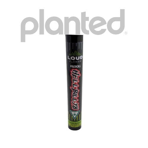 MI LOUD FLOWER FARMS | OGKB 2.1 | INDICA | 1G | INDIVIDUAL PRE-ROLL - Main view