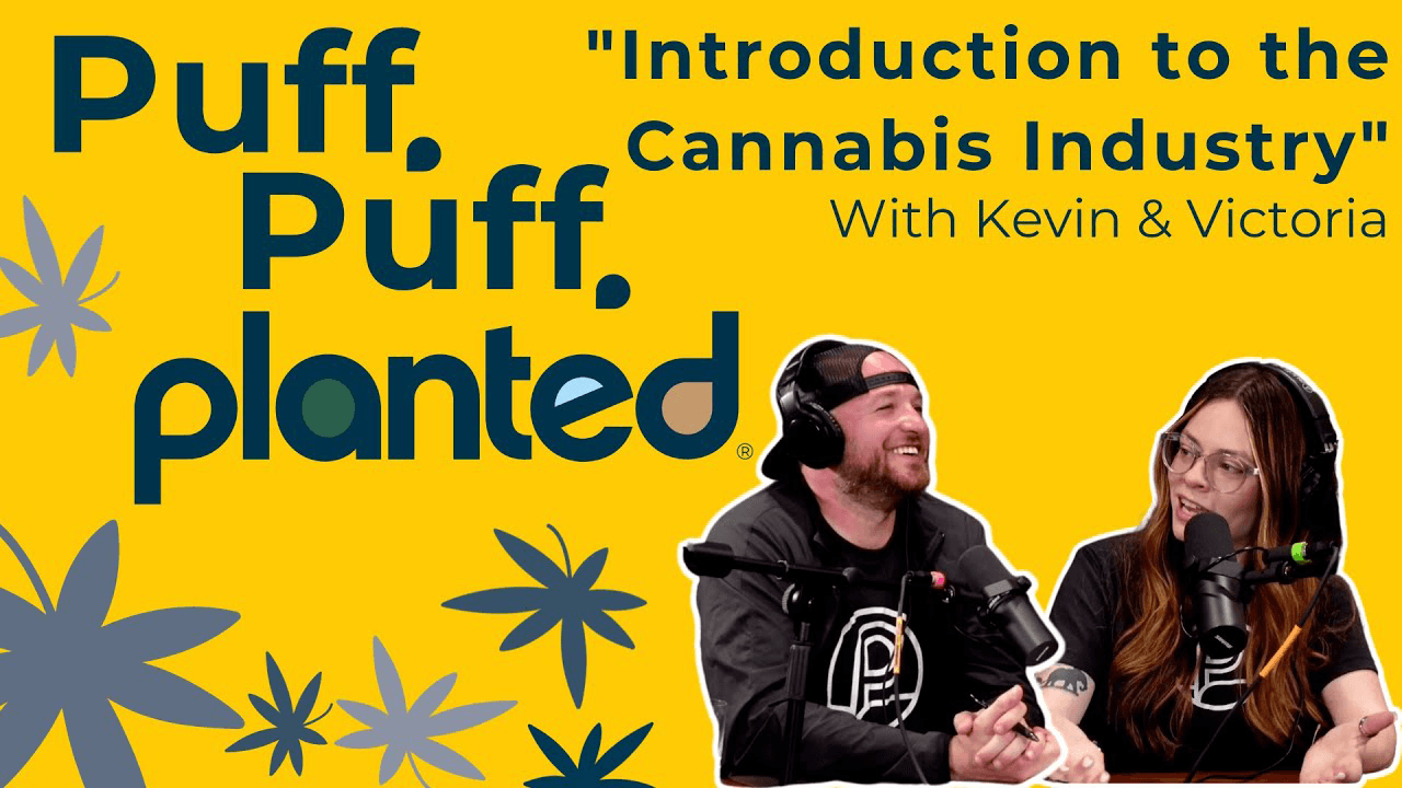 Thumbnail for Introduction to the Cannabis Industry
