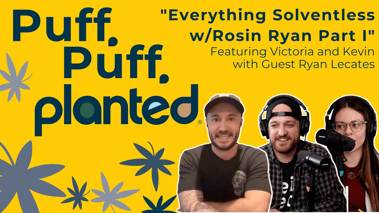 Thumbnail for Everything Solventless w/Rosin Ryan Part I