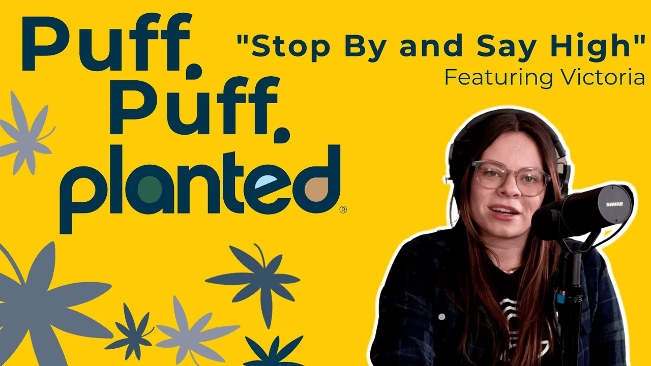 Thumbnail for Stop By and Say High