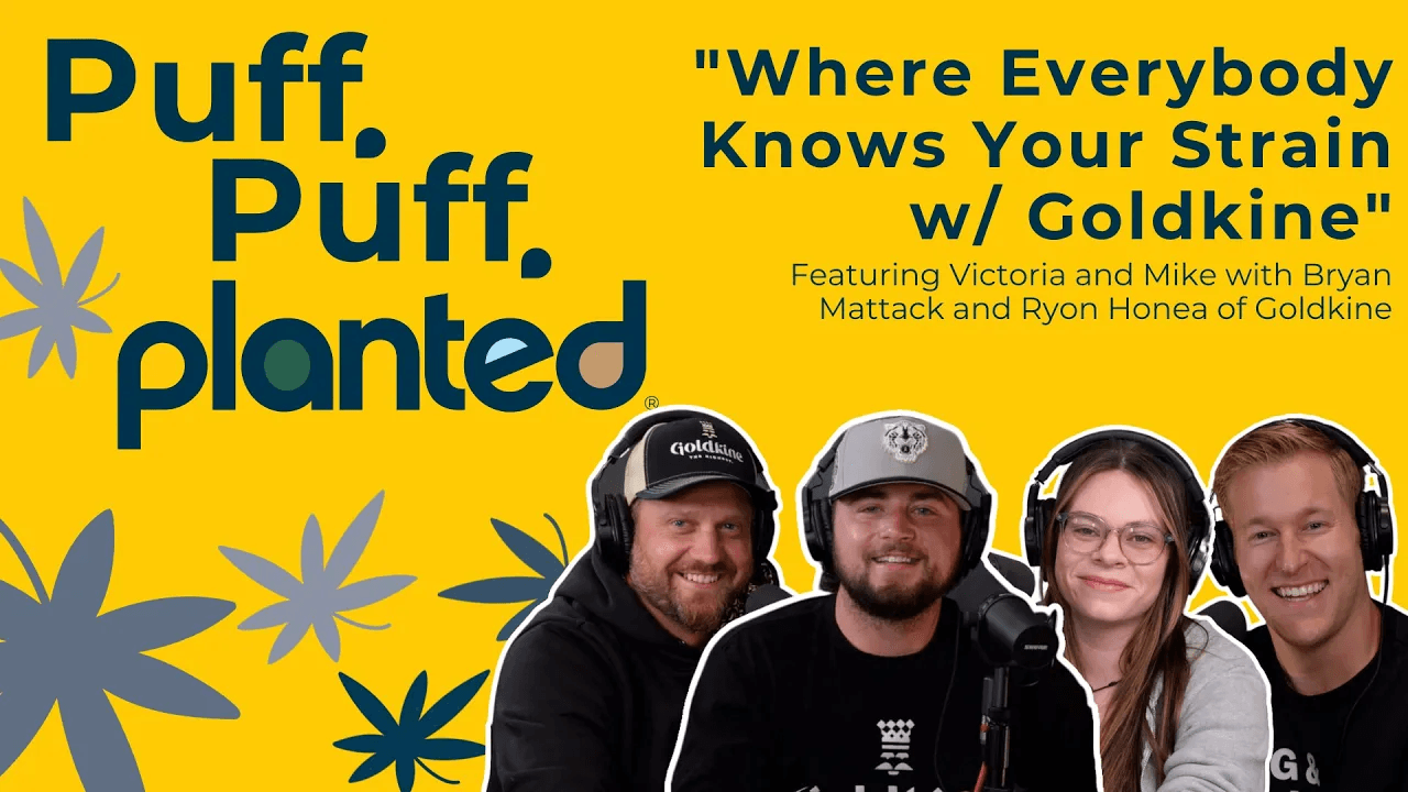 Thumbnail for Where Everybody Knows Your Strain w/ Goldkine