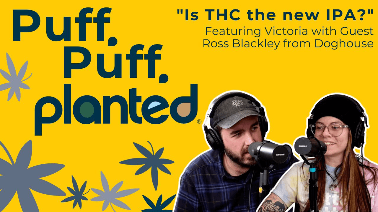 Thumbnail for Is THC the new IPA?