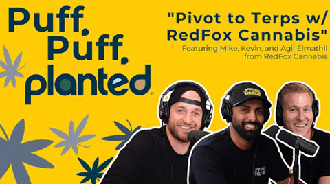 Pivot to Terps w/ RedFox Cannabis | Puff, Puff, Planted | Episode 25